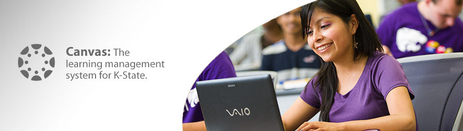 Canvas Banner - female student using a laptop in a lecture class