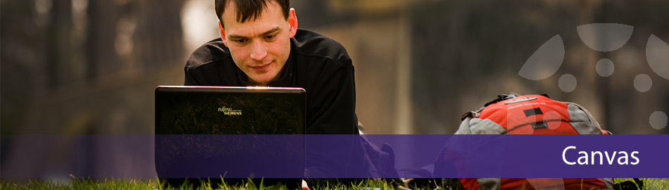 Canvas Banner - male student using a laptop outdoors